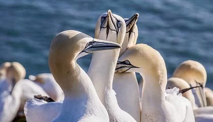 从詹姆斯身上学到了什么?里夫斯:他23年保持高水平 我很欣赏他