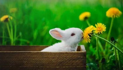 官方：萨卡对利兹联的右脚爆射破门当选阿森纳8月最佳进球